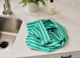 Evergreen Stripe Dish Towel