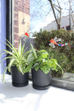 Dragonfly Plant Stake
