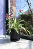 Dragonfly Plant Stake