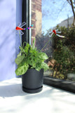 Dragonfly Plant Stake
