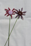 Blush Sunburst Plant Stake