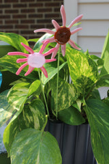 Blush Sunburst Plant Stake
