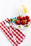 Gingham Napkins – Set  of 2