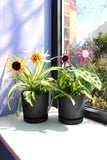 Sunny Bloom Plant Stakes