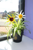 Sunny Bloom Plant Stakes