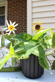 Sunny Bloom Plant Stakes
