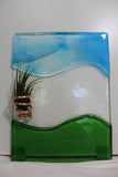 Coastal Breeze Air plant