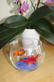 Crabby Catch Glass bowl