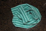 Evergreen Stripe Dish Towel