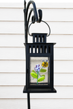 Hyacinth Lantern