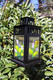 Hyacinth Lantern