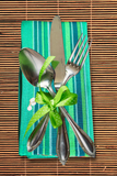Spring Green Napkins - Set of 2