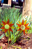 Aster Daisy Garden Stake