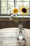 Sunny Bloom Plant Stakes