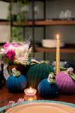 Squash Pumpkin Decor -Set of 3
